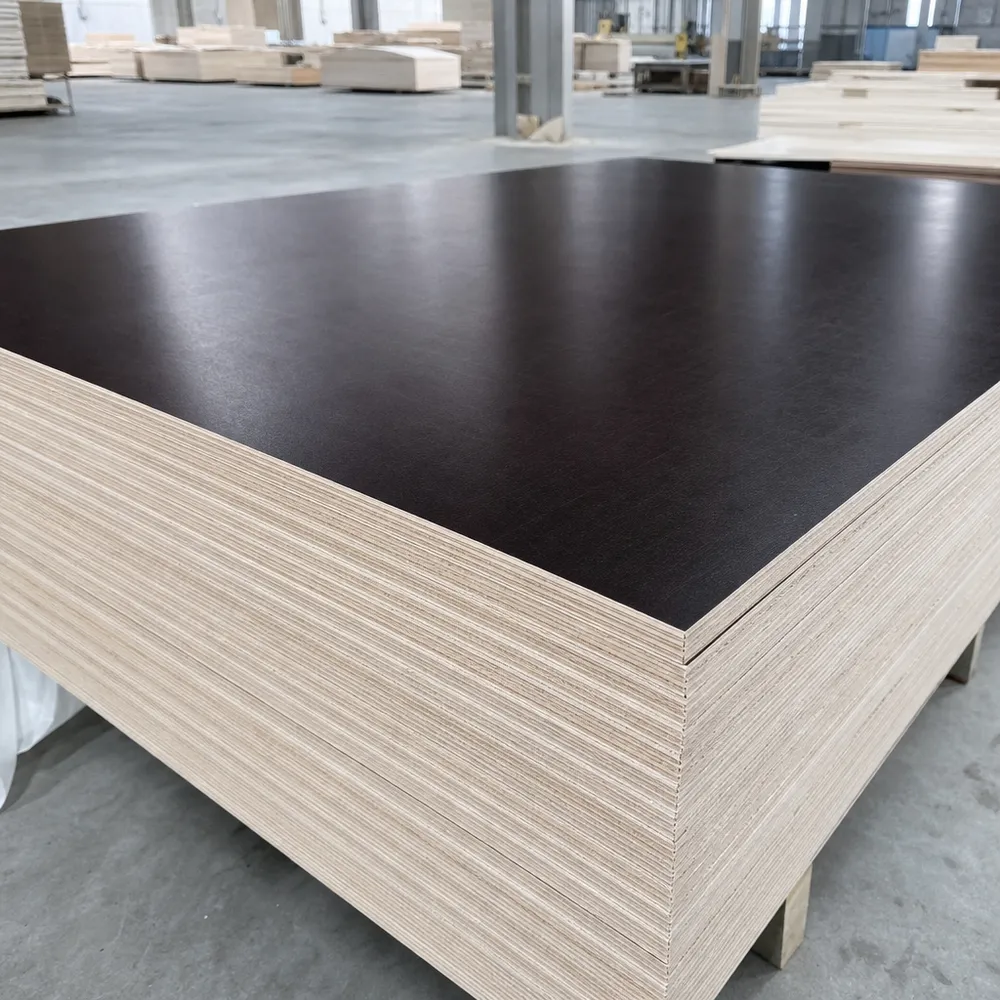 Birch core film faced plywood showing tight grain veneer layers and smooth phenolic film surface