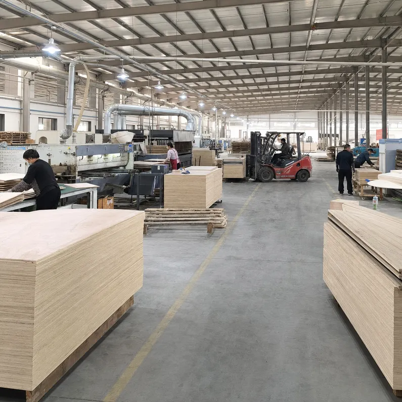 QDPlywood factory floor — commercial plywood production in Xuzhou, China